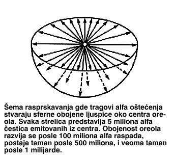 слика 3